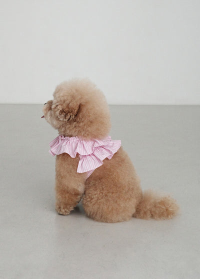 【予約】CAPENESS NO.19 _ PINK STRIPE
