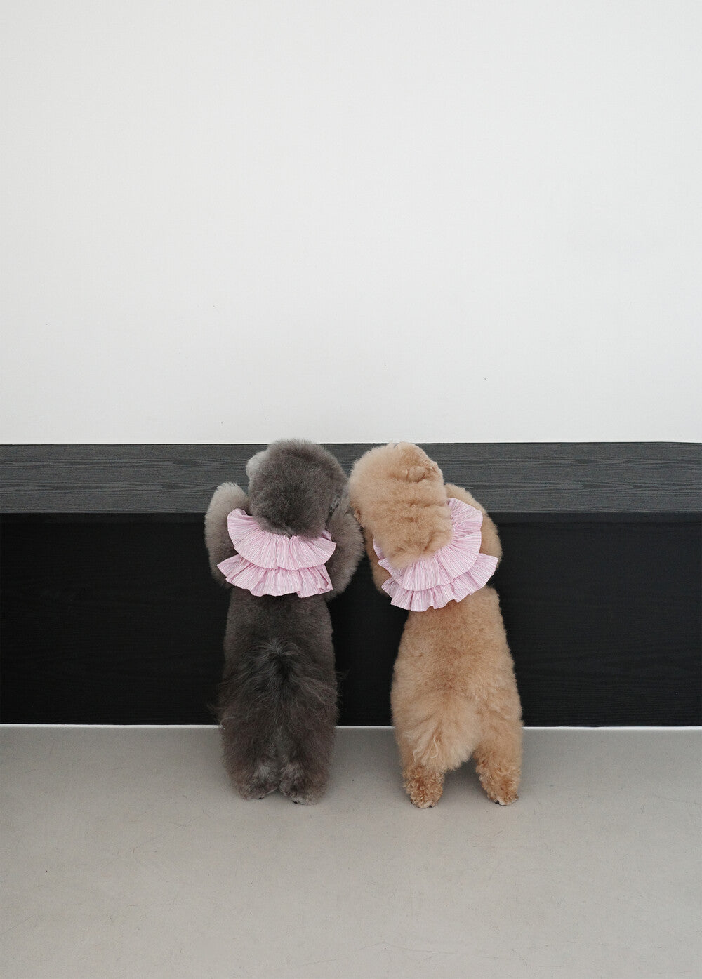 OHDIBS】CAPENESS NO.19 ケープハーネス (PINK STRIPE) | 韓国 犬用