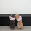 【予約】CAPENESS NO.19 _ PINK STRIPE