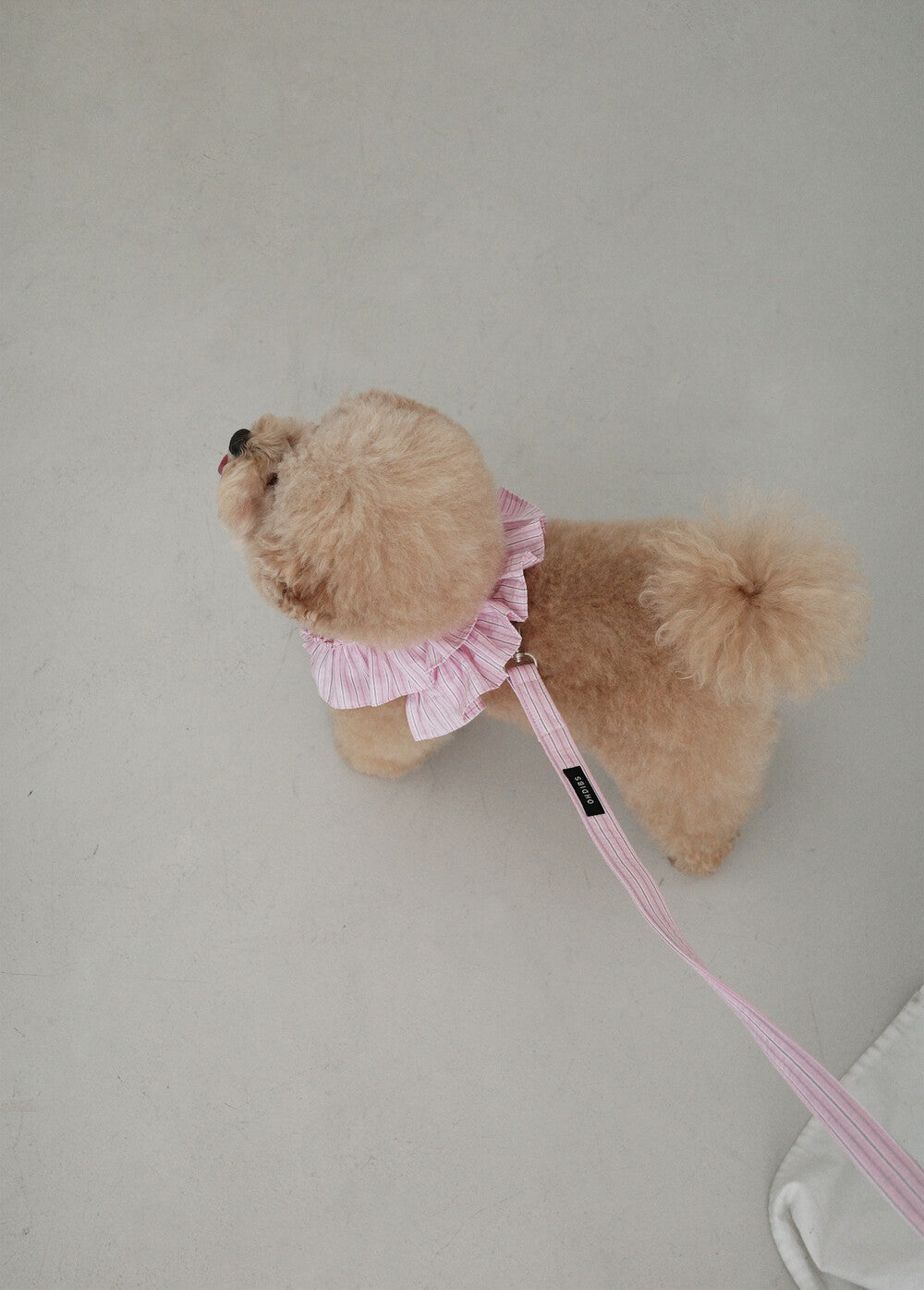 【予約】CAPENESS NO.19 _ PINK STRIPE
