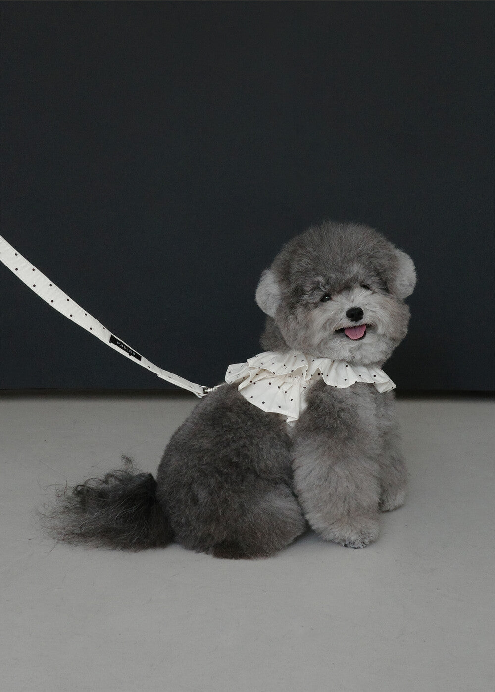 OHDIBS】CAPENESS NO.20 leash _ MINI DOT | 韓国 犬用リード - PAW SELECT