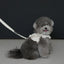 【予約】CAPENESS NO.20 _ MINI DOT