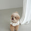 【予約】CAPENESS NO.20 _ MINI DOT