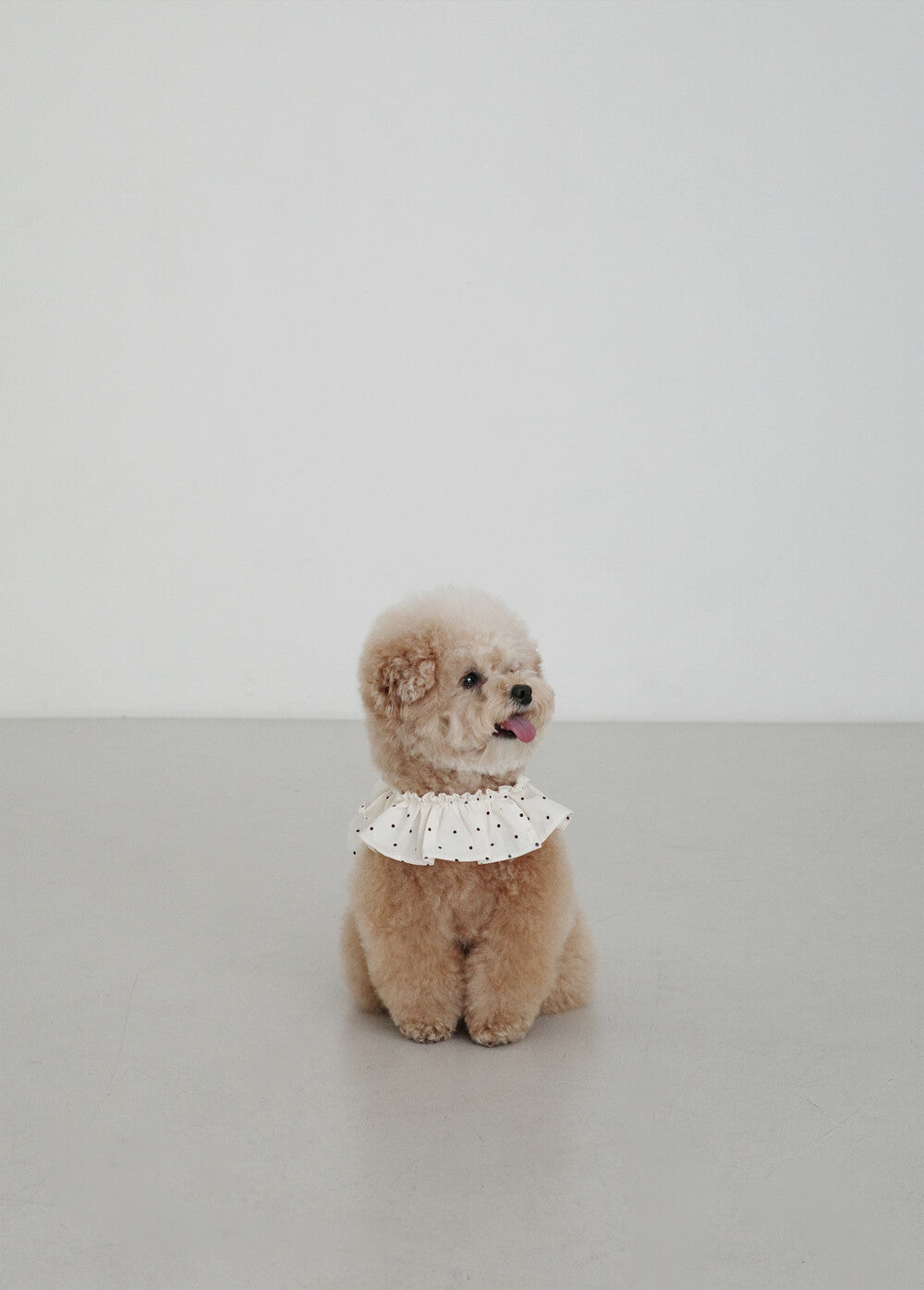 OHDIBS】CAPENESS NO.20 ケープハーネス (MINI DOT) | 韓国 犬用