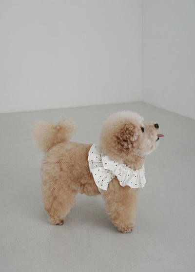 【予約】CAPENESS NO.20 _ MINI DOT