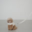 【予約】CAPENESS NO.20 _ MINI DOT