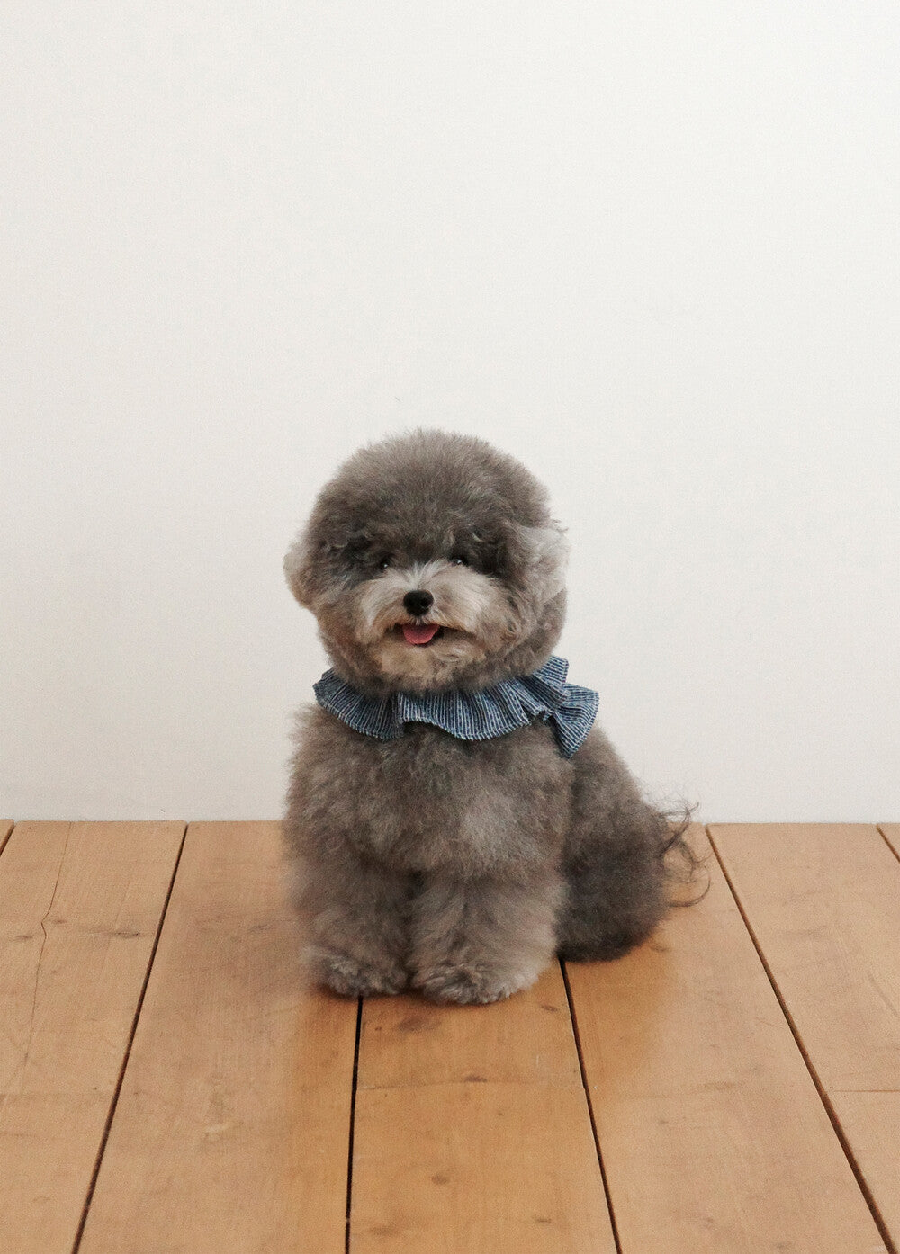 【予約】CAPENESS NO.21 leash _ vintage denim