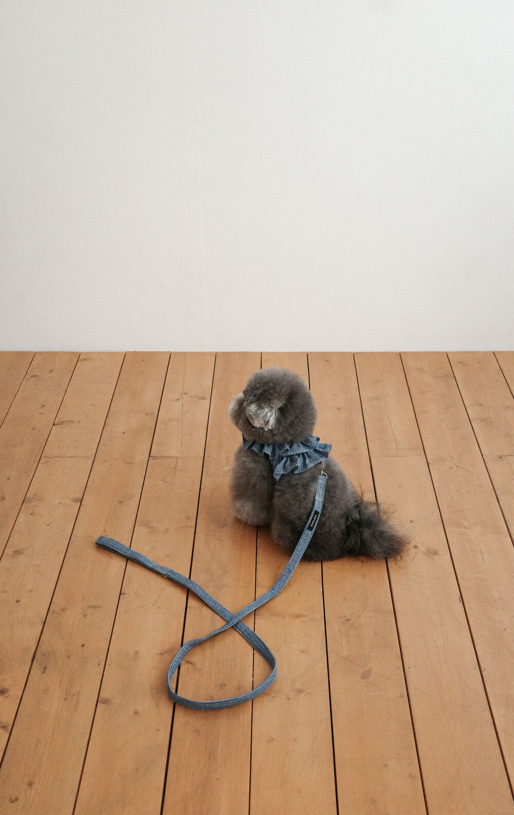 【予約】CAPENESS NO.21 leash _ vintage denim