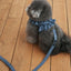 【予約】CAPENESS NO.21 leash _ vintage denim