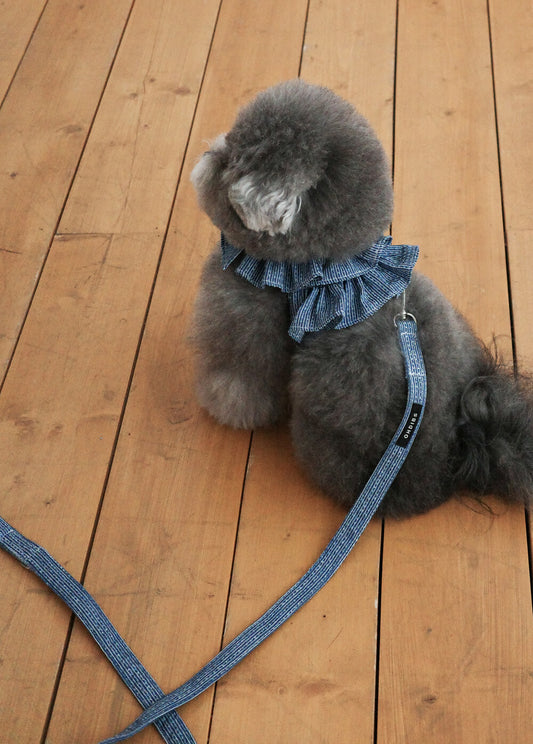 【予約】CAPENESS NO.21 leash _ vintage denim