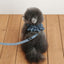 【予約】CAPENESS NO.21 leash _ vintage denim