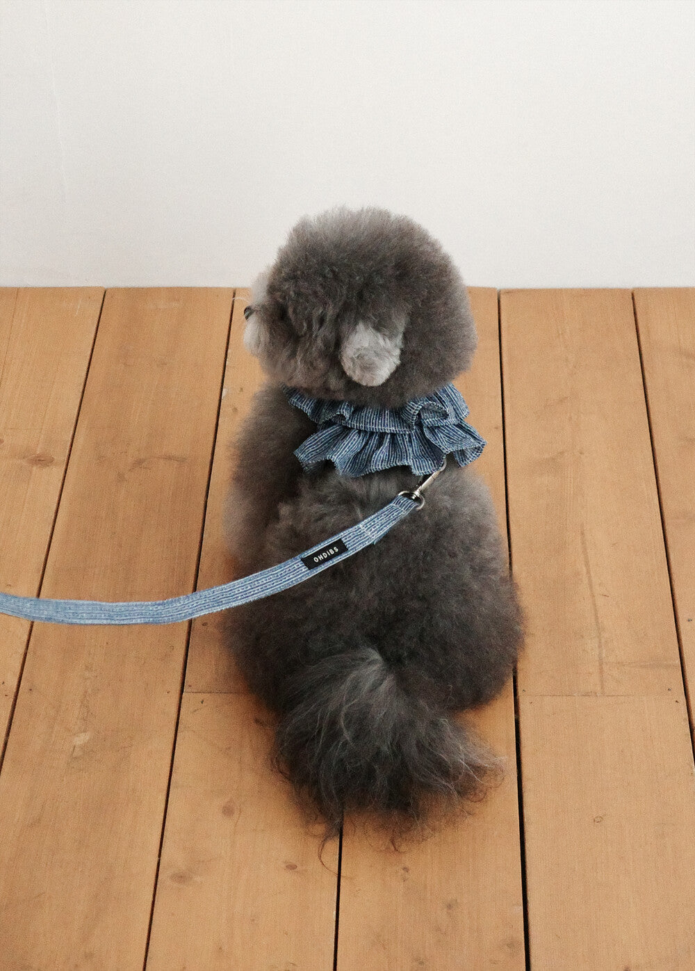 【予約】CAPENESS NO.21 leash _ vintage denim