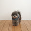 【予約】CAPENESS NO.21 leash _ vintage denim