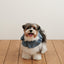 【予約】CAPENESS NO.22 leash _ dot denim