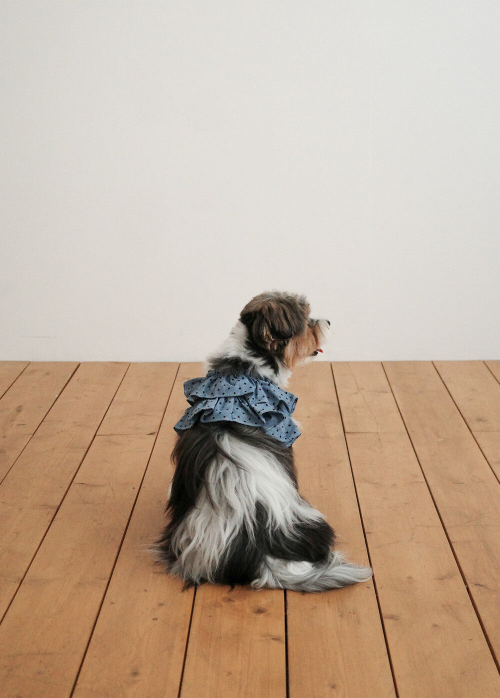【予約】CAPENESS NO.22 leash _ dot denim