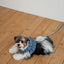 【予約】CAPENESS NO.22 leash _ dot denim