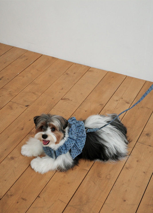 【予約】CAPENESS NO.22 leash _ dot denim