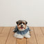 【予約】CAPENESS NO.22 leash _ dot denim
