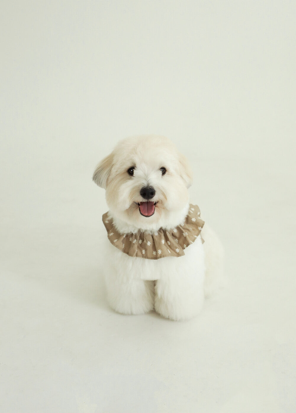 【予約】CAPENESS NO.23 leash _ Beige