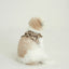【予約】CAPENESS NO.23 leash _ Beige