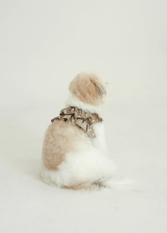 【予約】CAPENESS NO.23 _ Beige