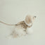 【予約】CAPENESS NO.23 leash _ Beige