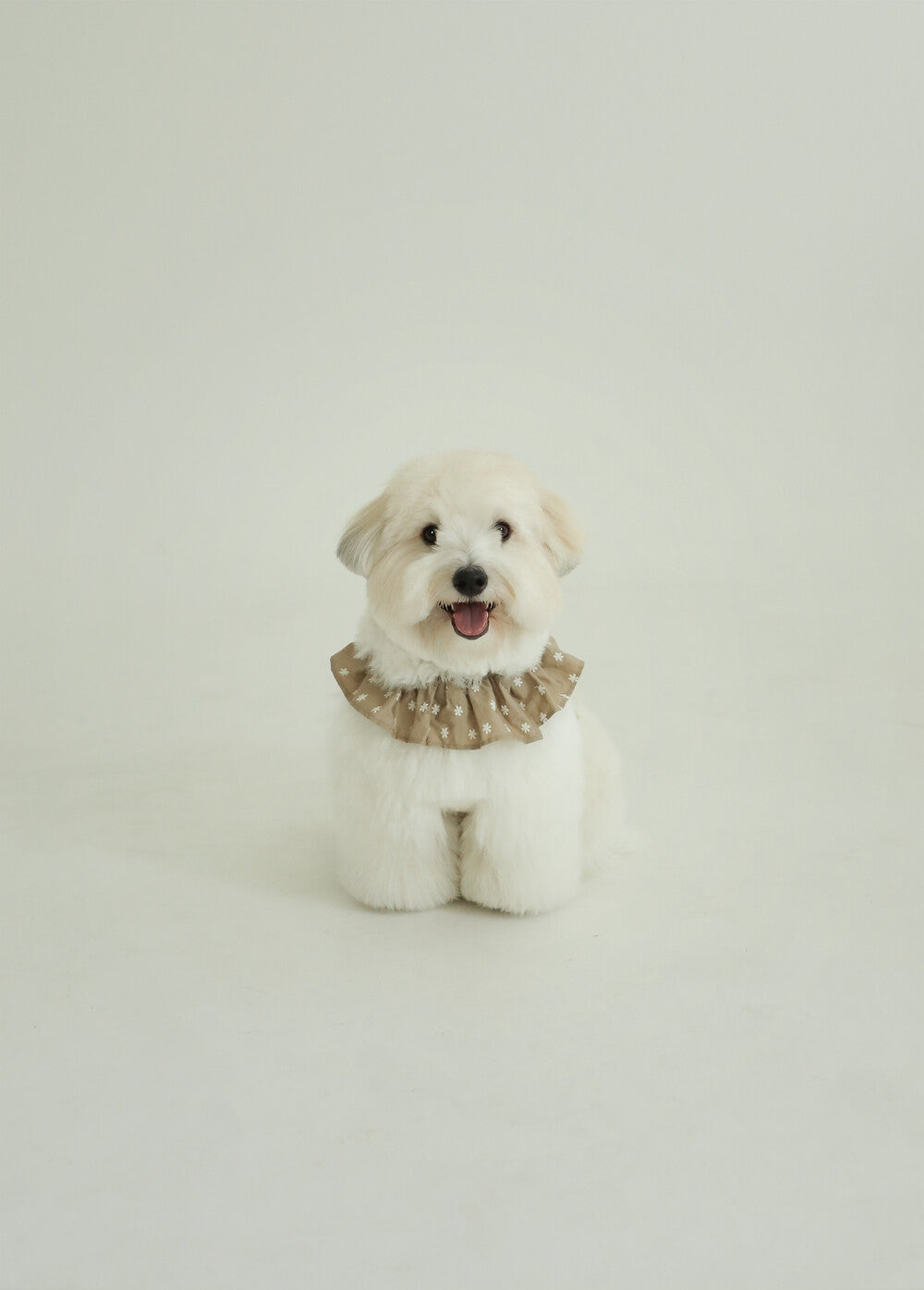 【予約】CAPENESS NO.23 leash _ Beige