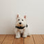 【予約】CAPENESS NO.24 leash _ Black