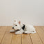 【予約】CAPENESS NO.24 leash _ Black