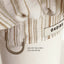 【予約】capeness no.6