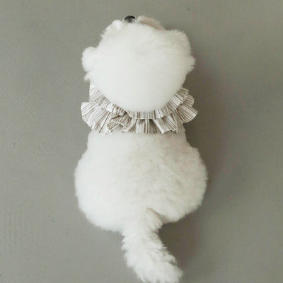 【予約】capeness no.6