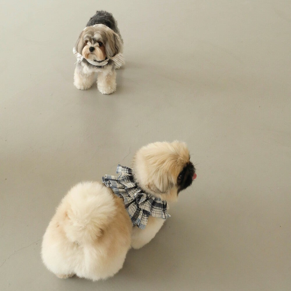 【予約】capeness no.7