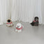 【予約】capeness no.8