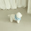 【予約】capeness no.9