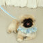 【予約】capeness no.9 leash