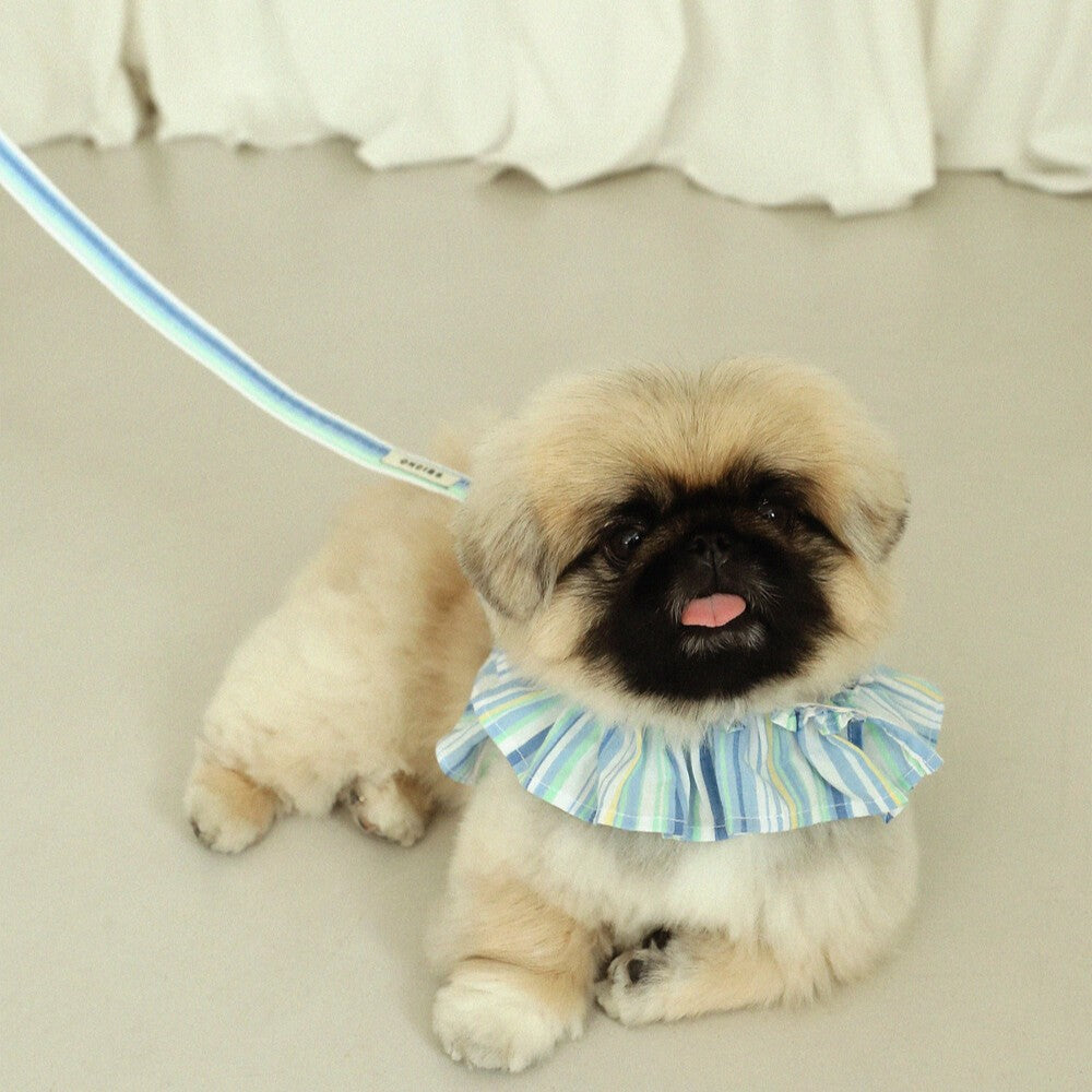 【予約】capeness no.9 leash