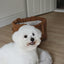 【予約】Snuggle Basket