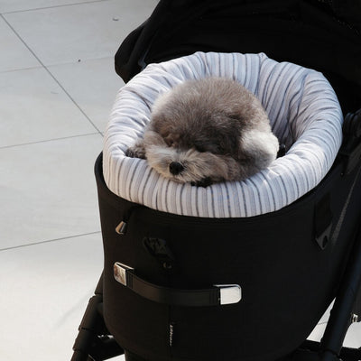 【予約】Snuggle Room _ black