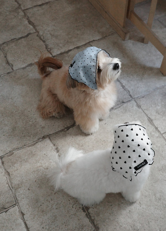 【予約】Tiny Love Scarf