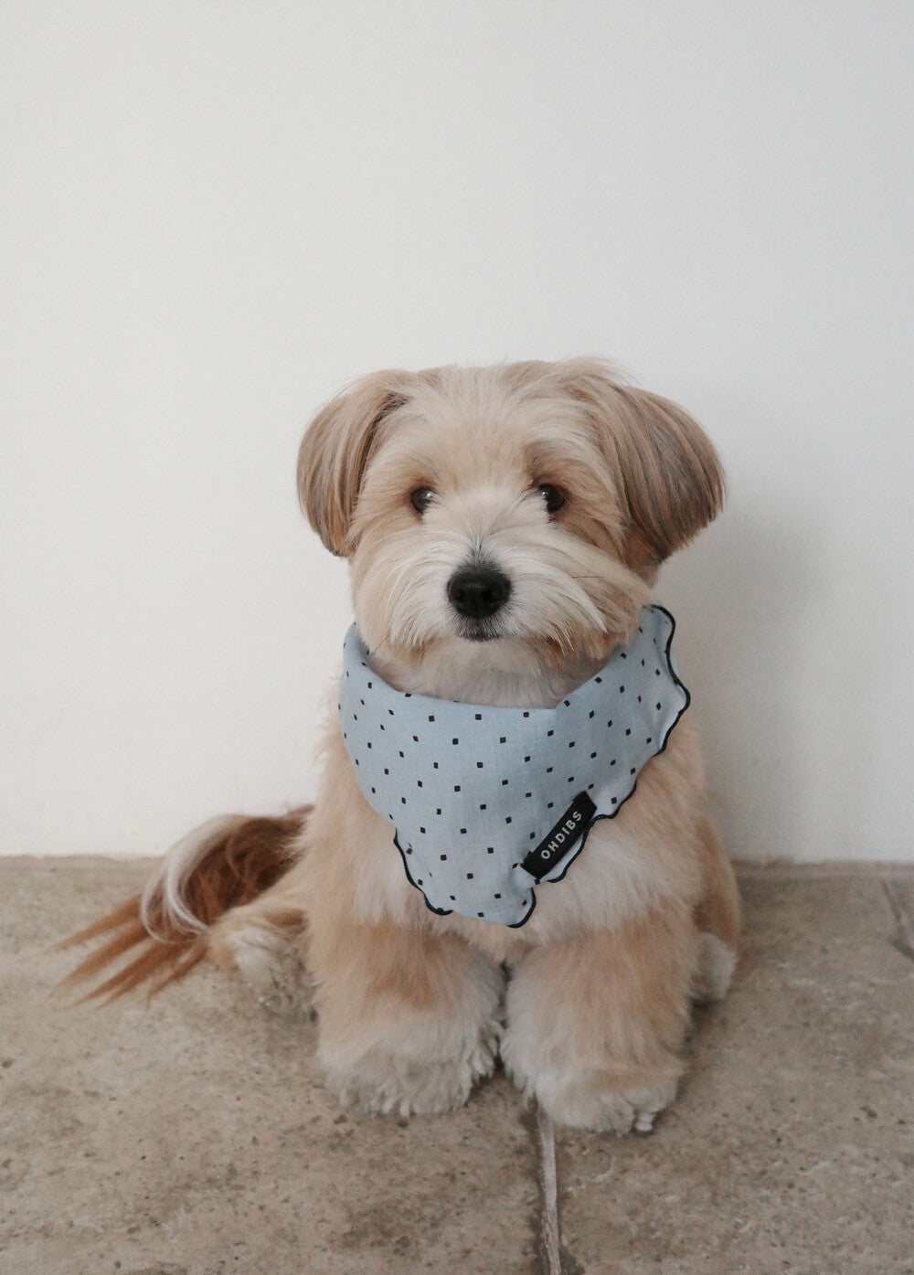 【予約】Tiny Love Scarf