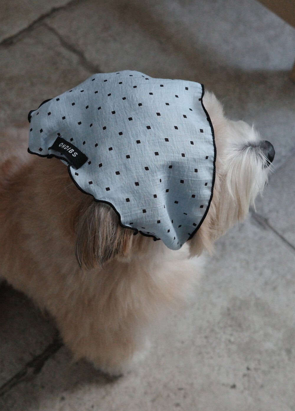 【予約】Tiny Love Scarf