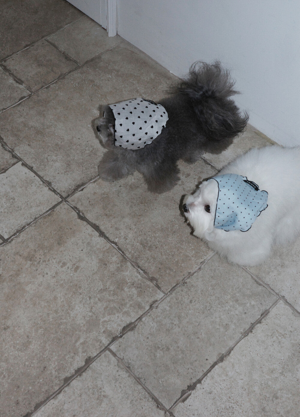 【予約】Tiny Love Scarf