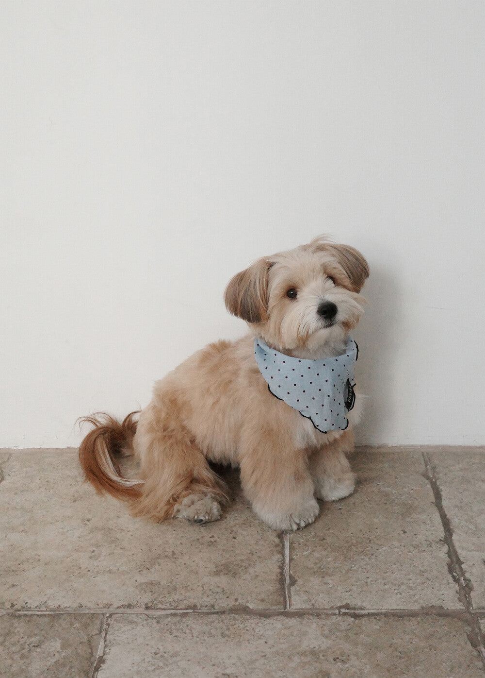 【予約】Tiny Love Scarf