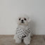 【予約】Tiny Love Scarf