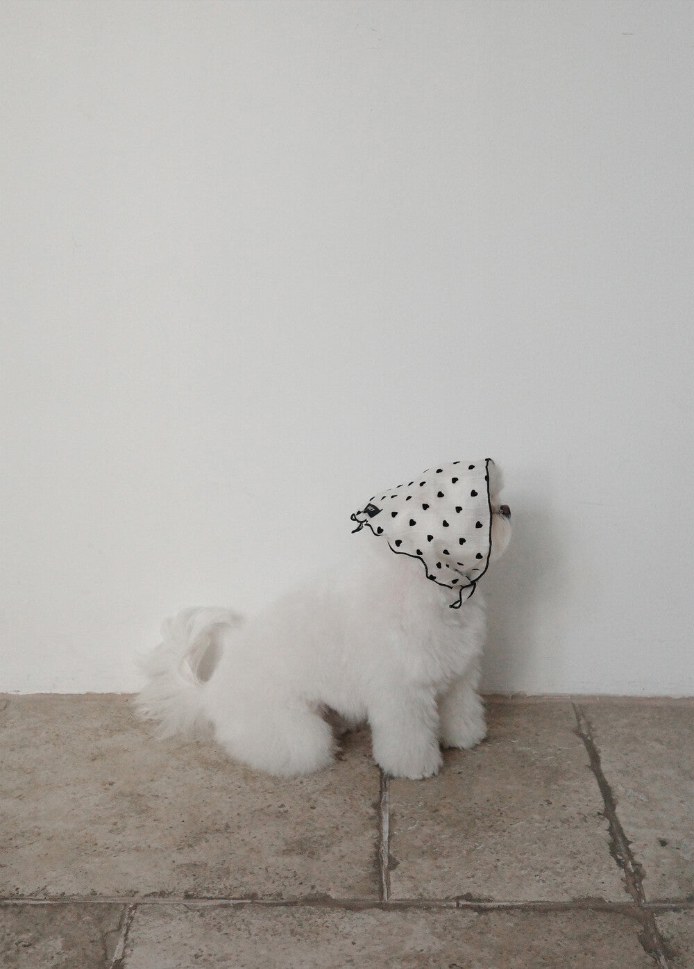 【予約】Tiny Love Scarf