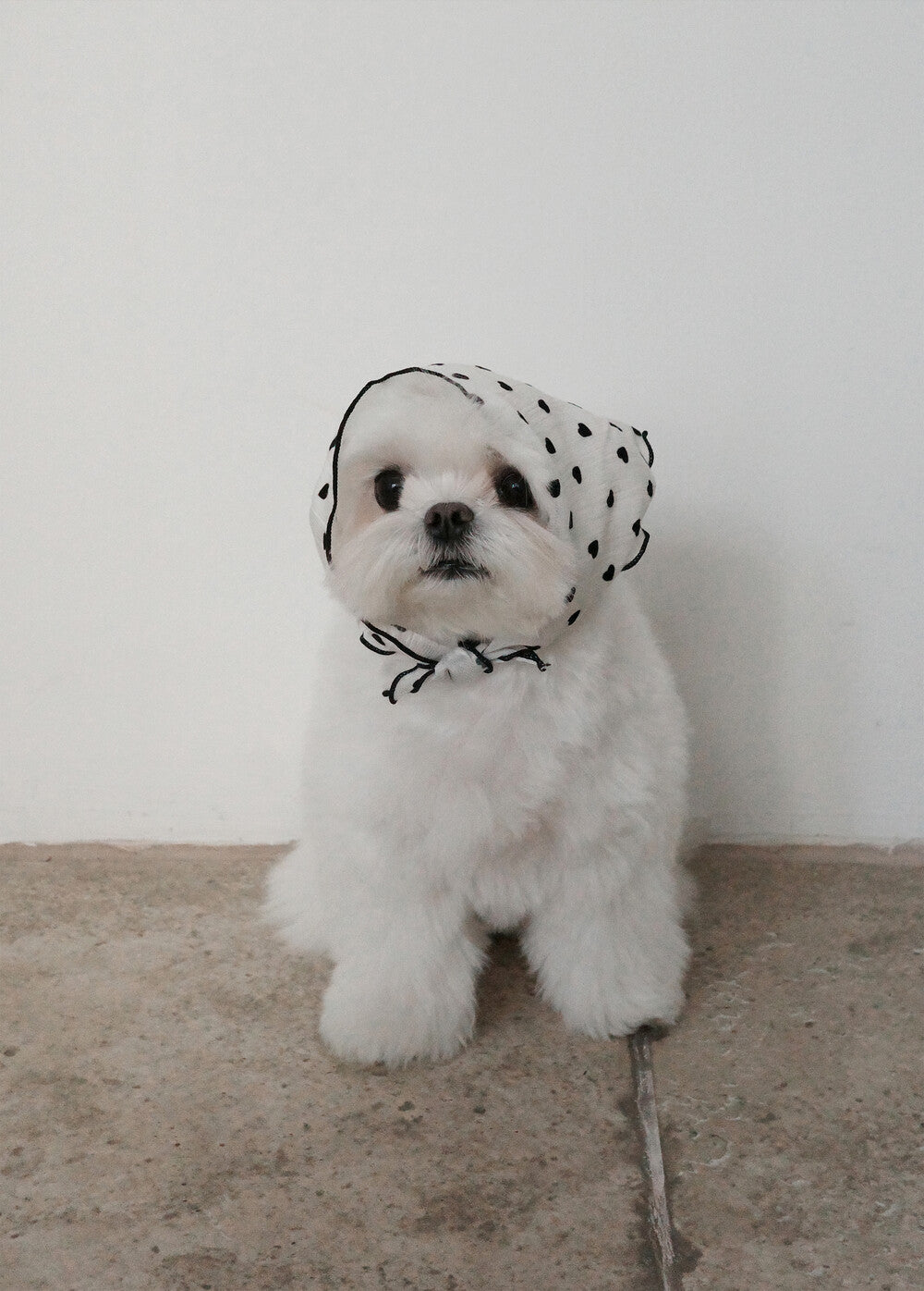 【予約】Tiny Love Scarf