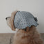 【予約】Tiny Love Scarf