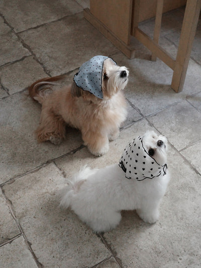 【予約】Tiny Love Scarf