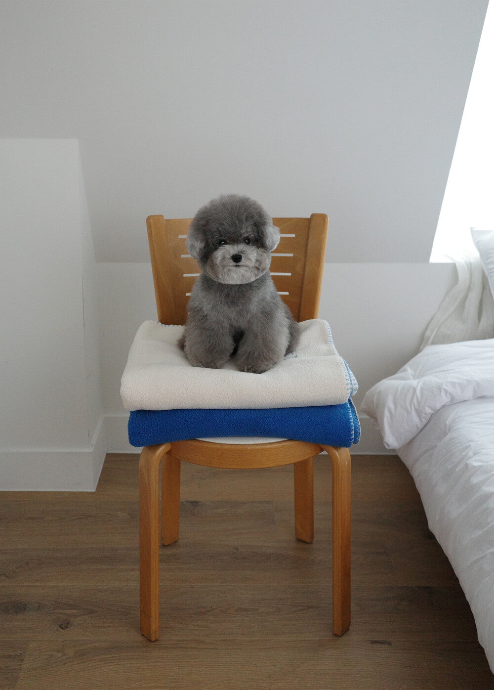 【予約】winter stitch blanket Ver.2