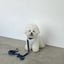 【予約】Basic color collar & handsfree leash